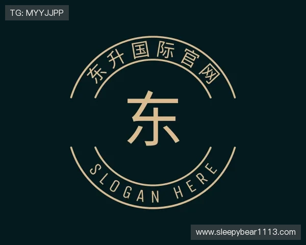 关于东升国际官网