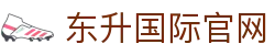 东升国际官网-追求健康,你我一起成长